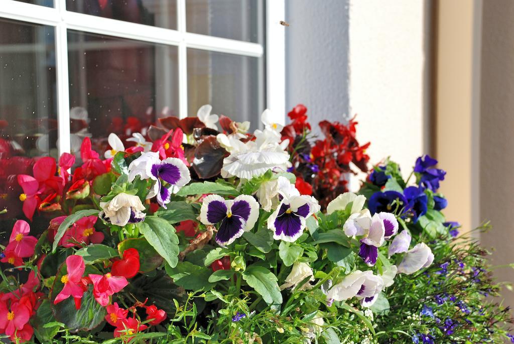 Bed and Breakfast Lemongrove House Эннискорти Экстерьер фото